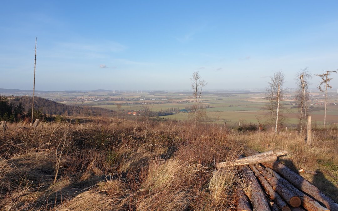 Erkundungstour im Osterwald