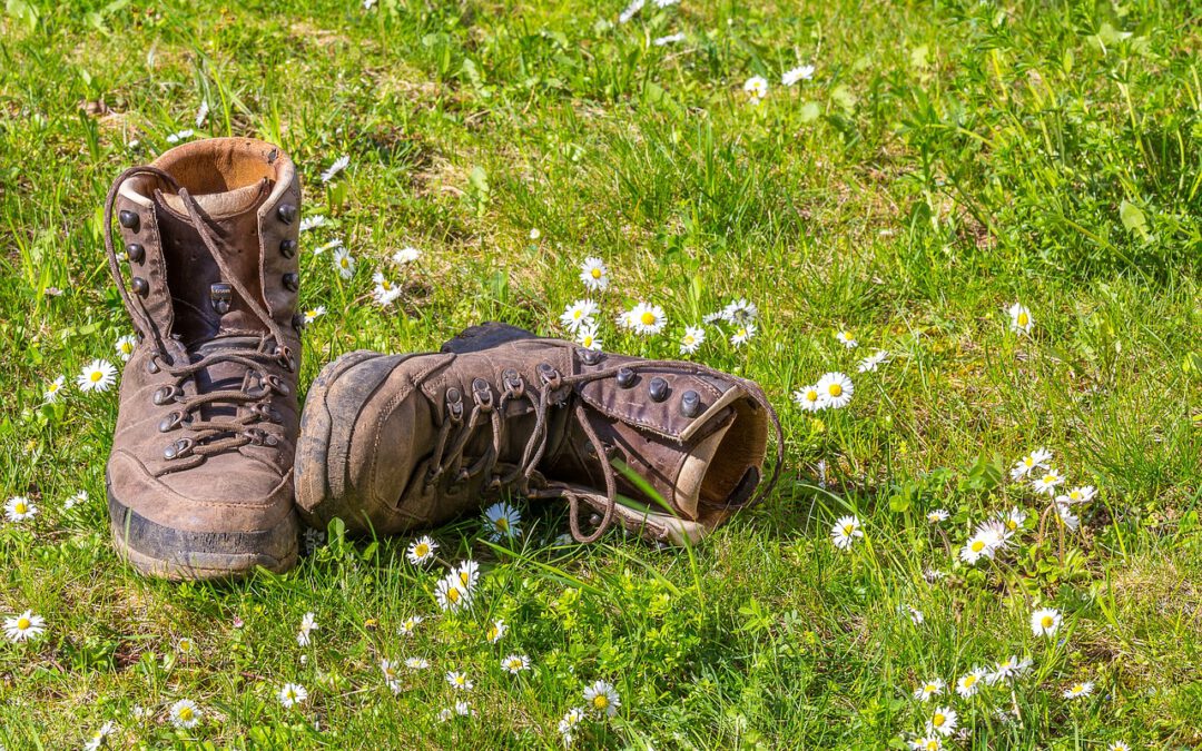 Wanderung zum Waldkater