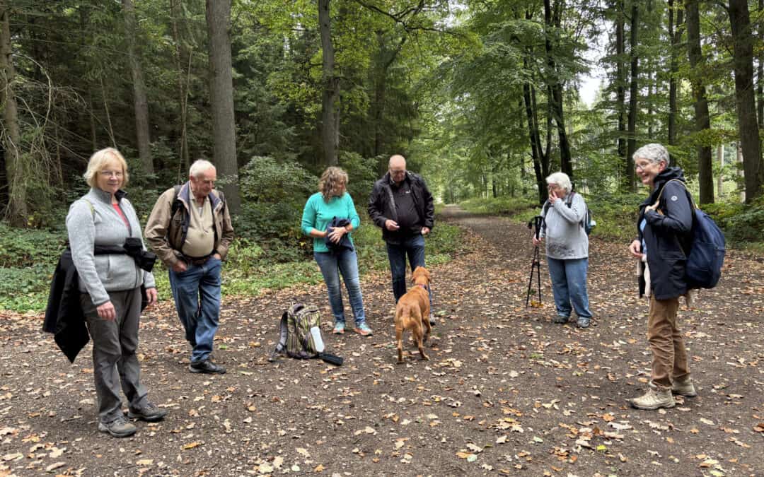 Wandern mit Geschichte: Auf Tour zwischen Völksen und Steinkrug