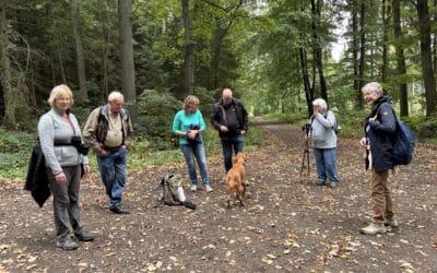 Wandern mit Geschichte: Auf Tour zwischen Völksen und Steinkrug