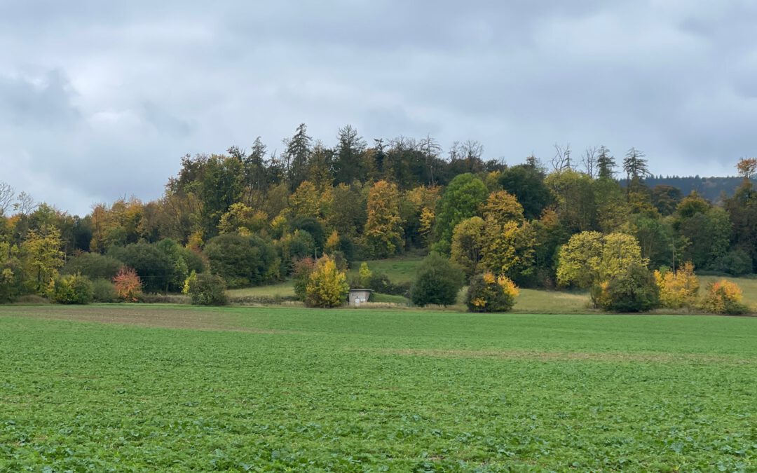 Abschlusswanderung