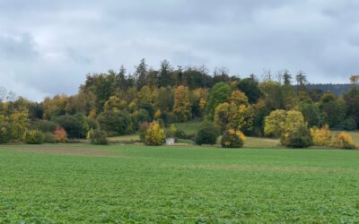 Abschlusswanderung