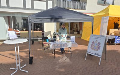 Tag der Vereine und Maibaumfest in Springe