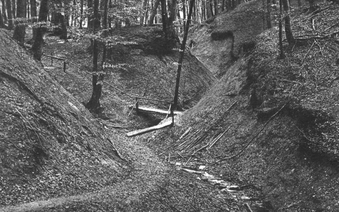 Die Drachenschlucht im Osterwald