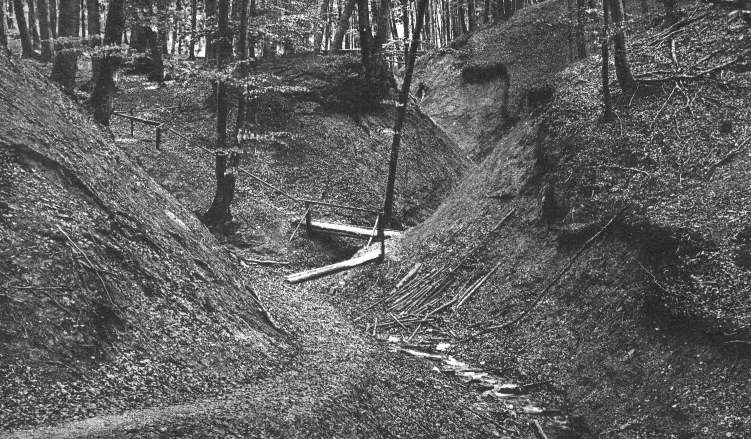 Drachenschlucht 1